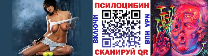 где найти   Мглин  Галлюциногенные грибы прущие грибы 